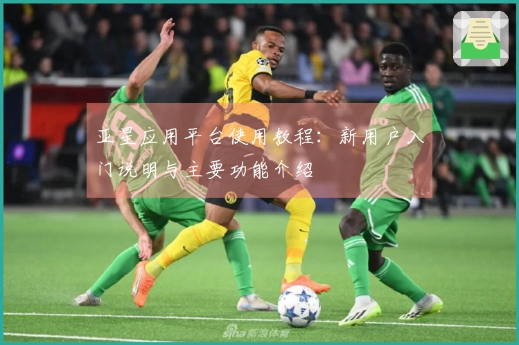 亚星应用平台使用教程:新用户入门说明与主要功能介绍