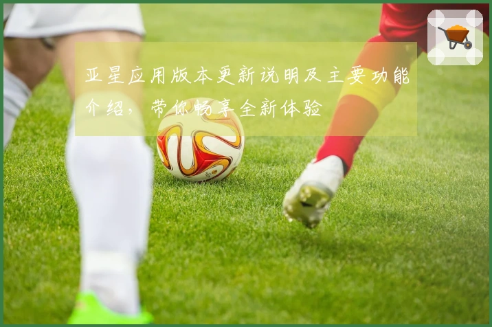 亚星应用版本更新说明及主要功能介绍,带你畅享全新体验