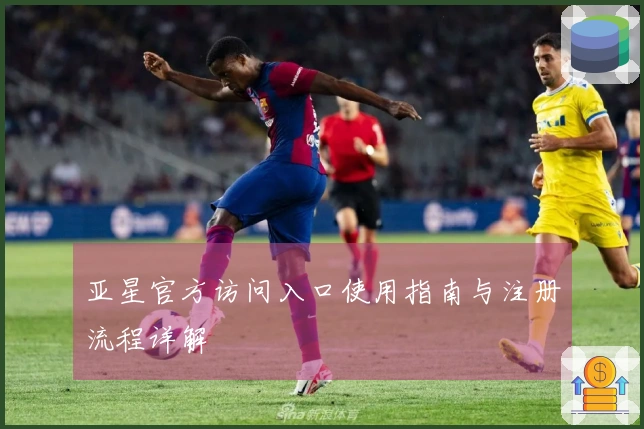 亚星官方访问入口使用指南与注册流程详解